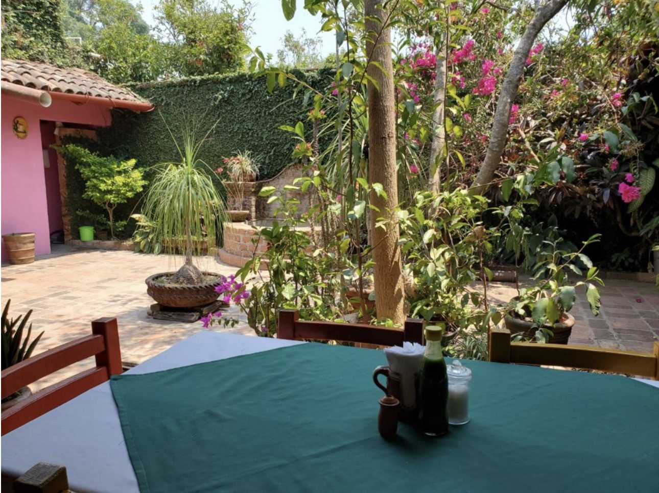 Patio con jardín de una casa en El Tuito