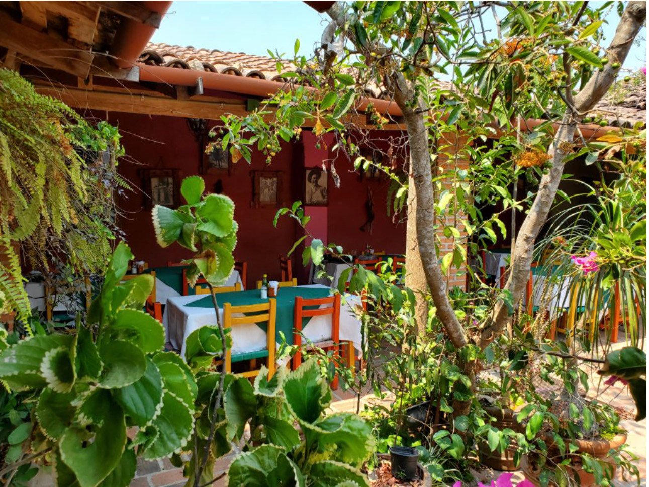 Gastronomía regional en El Tuito